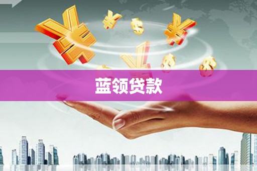 林园蓝领贷款