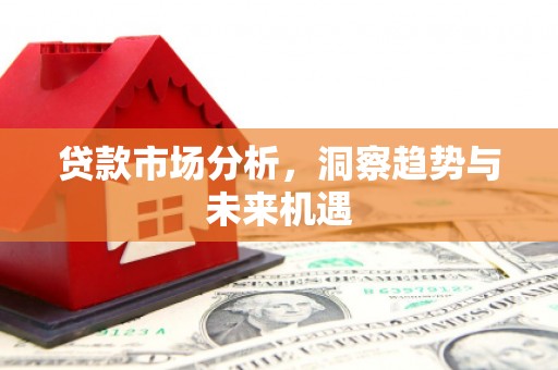 林园贷款市场分析，洞察趋势与未来机遇