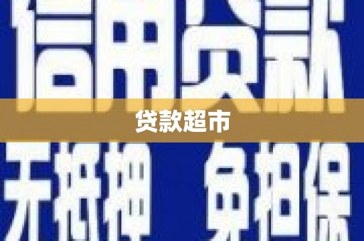 林园贷款超市
