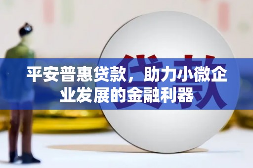 林园平安普惠贷款，助力小微企业发展的金融利器