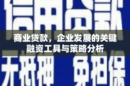 林园商业贷款，企业发展的关键融资工具与策略分析