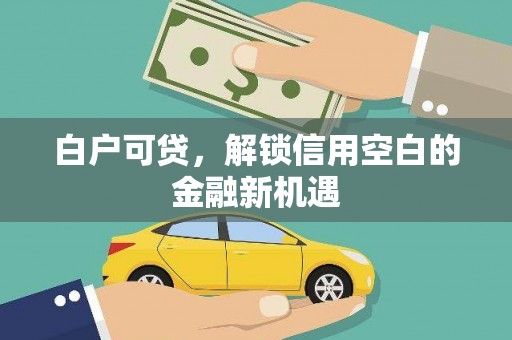 林园白户可贷，解锁信用空白的金融新机遇
