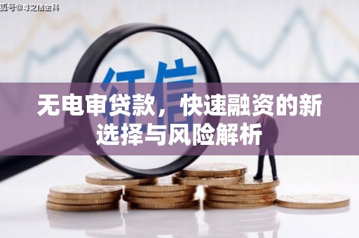 林园无电审贷款，快速融资的新选择与风险解析
