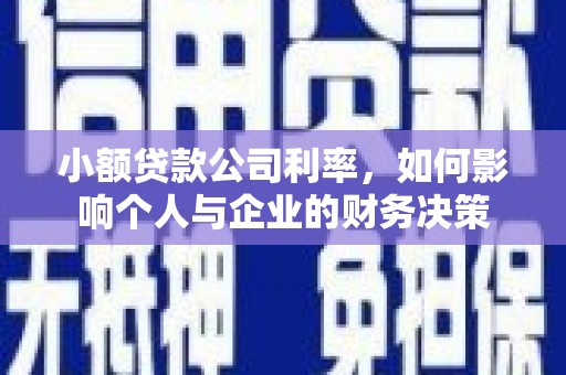 林园小额贷款公司利率，如何影响个人与企业的财务决策