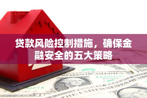 林园贷款风险控制措施，确保金融安全的五大策略