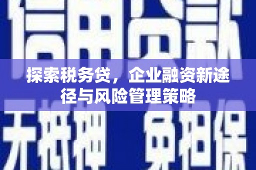 林园探索税务贷，企业融资新途径与风险管理策略
