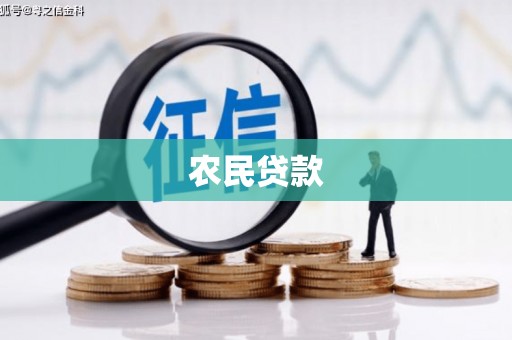 林园农民贷款