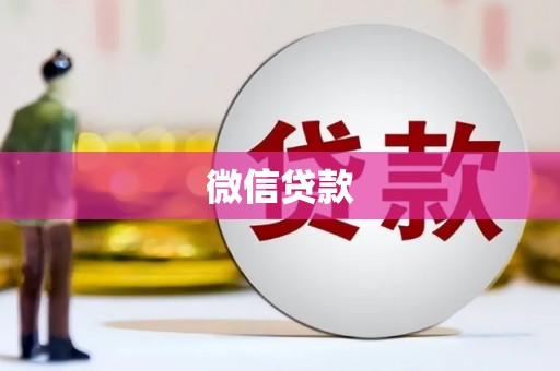 林园微信贷款