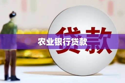 林园农业银行贷款