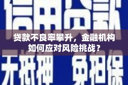 林园贷款不良率攀升，金融机构如何应对风险挑战？