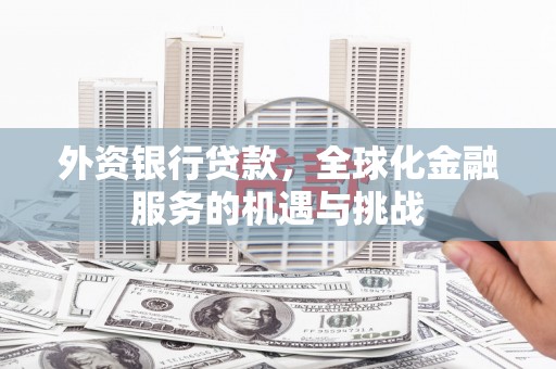 林园外资银行贷款，全球化金融服务的机遇与挑战
