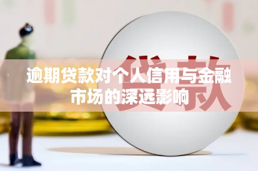 林园逾期贷款对个人信用与金融市场的深远影响