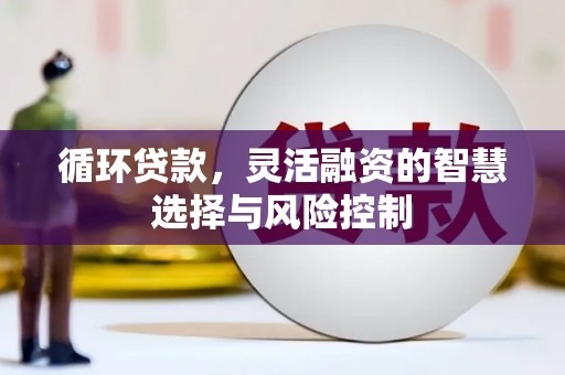 林园循环贷款，灵活融资的智慧选择与风险控制