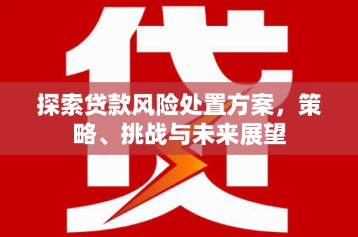 林园探索贷款风险处置方案，策略、挑战与未来展望