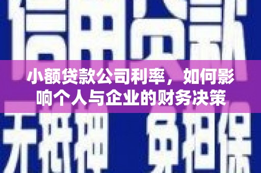 林园小额贷款公司利率，如何影响个人与企业的财务决策