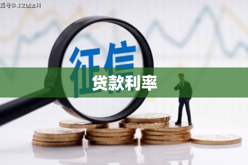 林园贷款利率