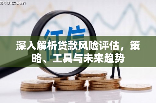 林园深入解析贷款风险评估，策略、工具与未来趋势
