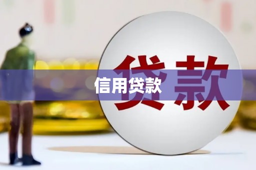 林园信用贷款
