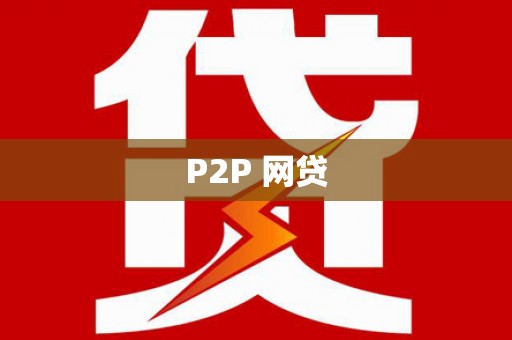 林园P2P 网贷