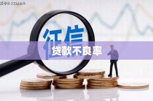 林园贷款不良率