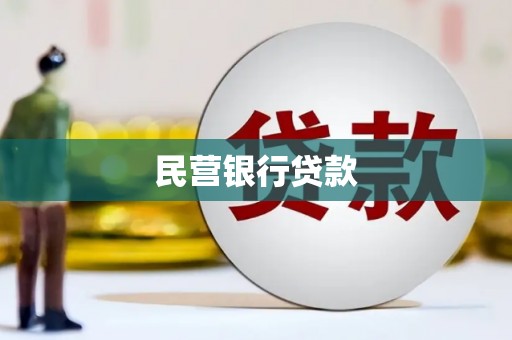 林园民营银行贷款