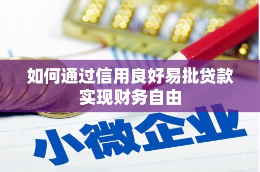 林园如何通过信用良好易批贷款实现财务自由