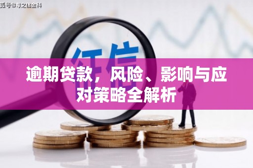林园逾期贷款，风险、影响与应对策略全解析