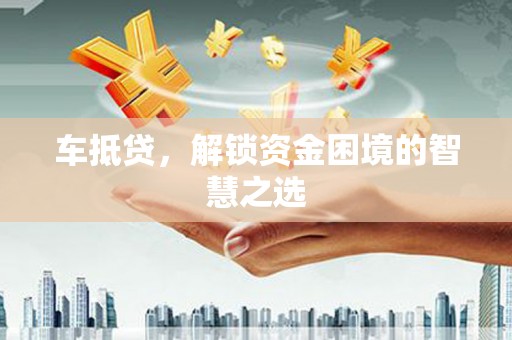 林园车抵贷，解锁资金困境的智慧之选
