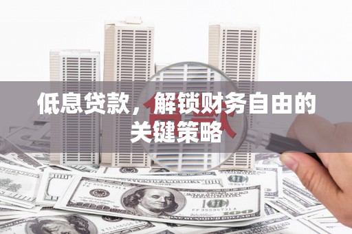 林园低息贷款，解锁财务自由的关键策略