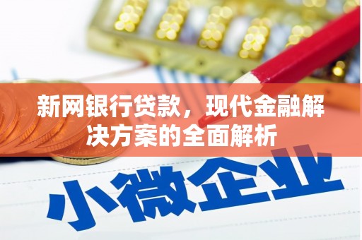 林园新网银行贷款，现代金融解决方案的全面解析