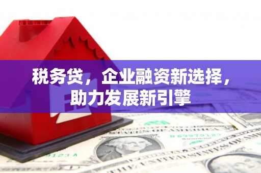 林园税务贷，企业融资新选择，助力发展新引擎