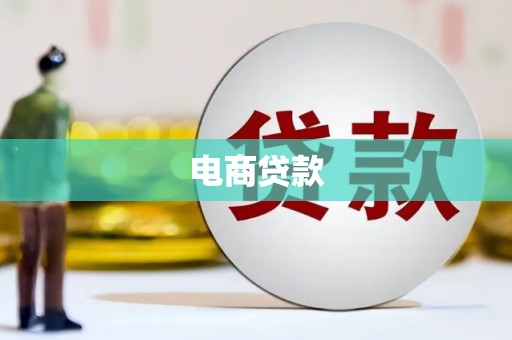 林园电商贷款