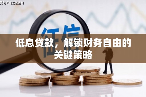林园低息贷款，解锁财务自由的关键策略