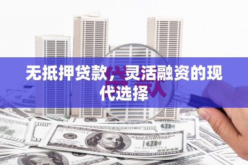 林园无抵押贷款，灵活融资的现代选择