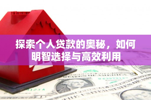 林园探索个人贷款的奥秘，如何明智选择与高效利用