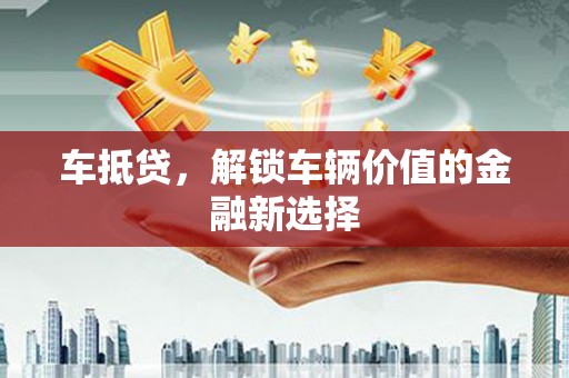 林园车抵贷，解锁车辆价值的金融新选择
