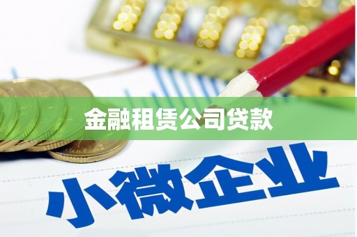 林园金融租赁公司贷款