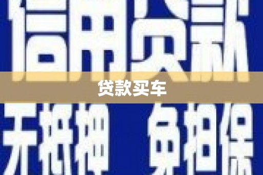 林园贷款买车
