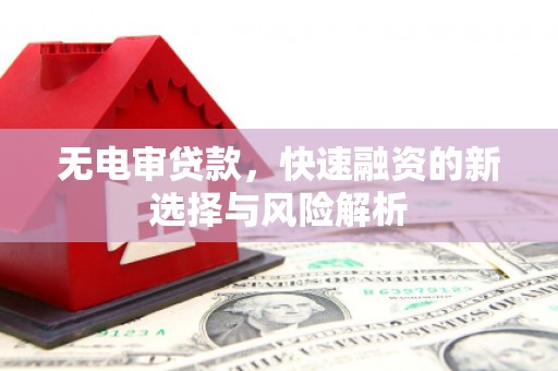 林园无电审贷款，快速融资的新选择与风险解析