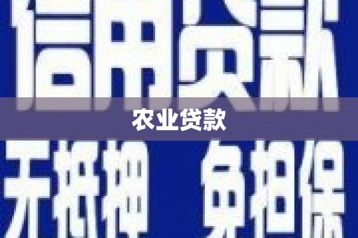林园农业贷款