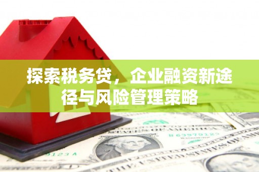 林园探索税务贷，企业融资新途径与风险管理策略