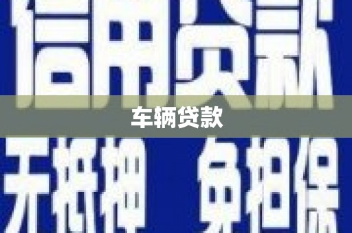 林园车辆贷款