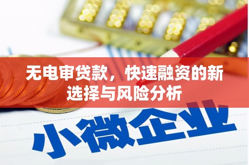 林园无电审贷款，快速融资的新选择与风险分析