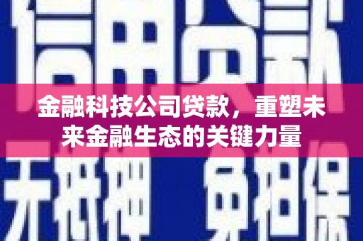 林园金融科技公司贷款，重塑未来金融生态的关键力量