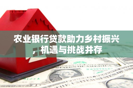 林园农业银行贷款助力乡村振兴，机遇与挑战并存