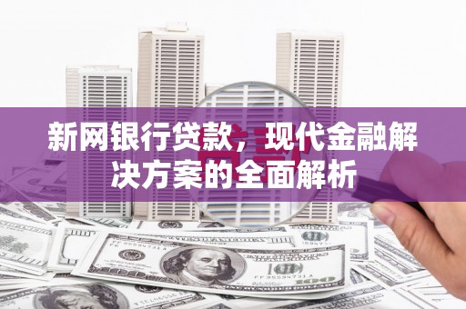 林园新网银行贷款，现代金融解决方案的全面解析