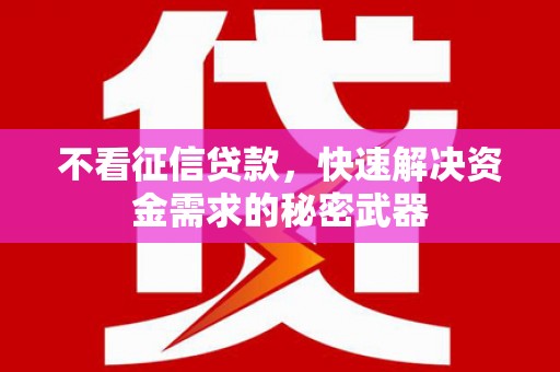 林园不看征信贷款，快速解决资金需求的秘密武器