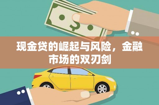 林园现金贷的崛起与风险，金融市场的双刃剑