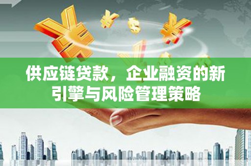 林园供应链贷款，企业融资的新引擎与风险管理策略