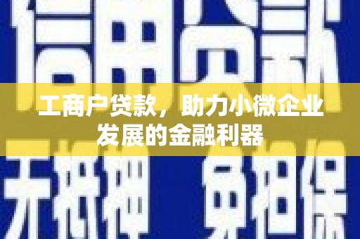 林园工商户贷款，助力小微企业发展的金融利器